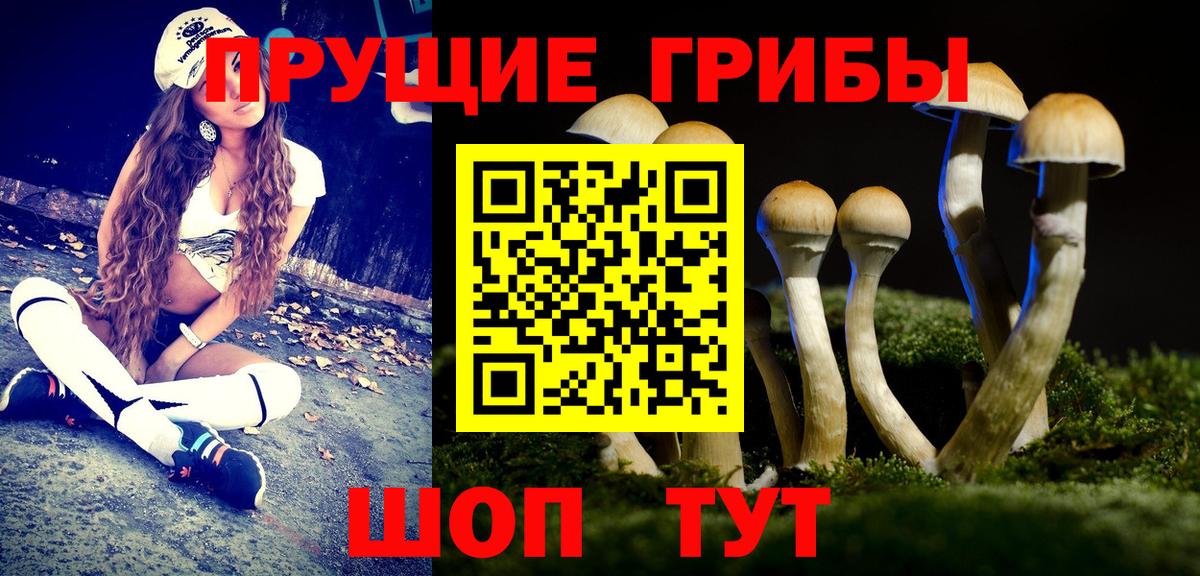 Москва  Галлюциногенные грибы ЛСД  Вход с VPN 